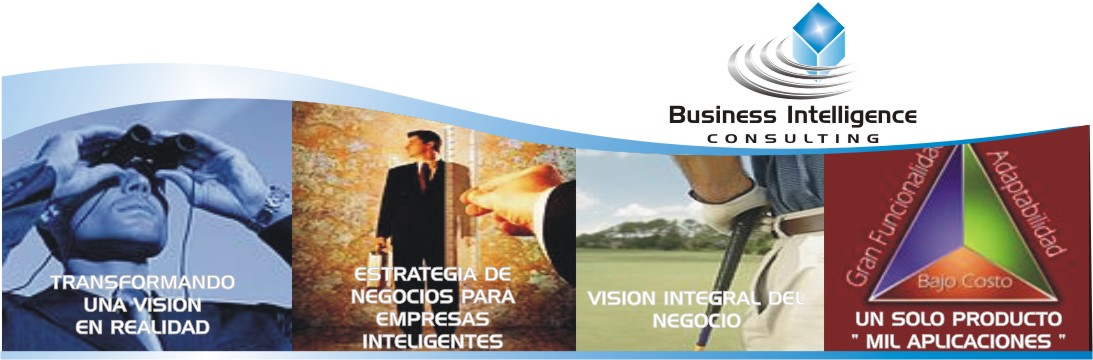 Business Intelligence Consulting